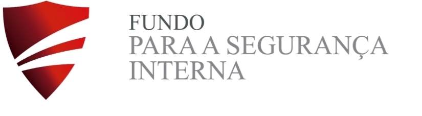 FSI.jpg